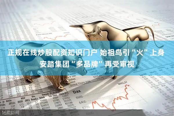 正规在线炒股配资知识门户 始祖鸟引“火”上身 安踏集团“多品牌”再受审视
